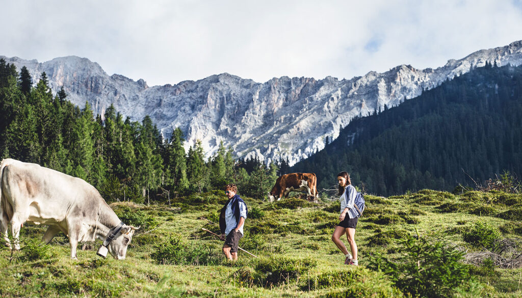 Wanderung auf der Alm